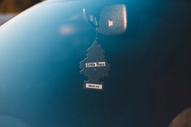 Windscreen 1